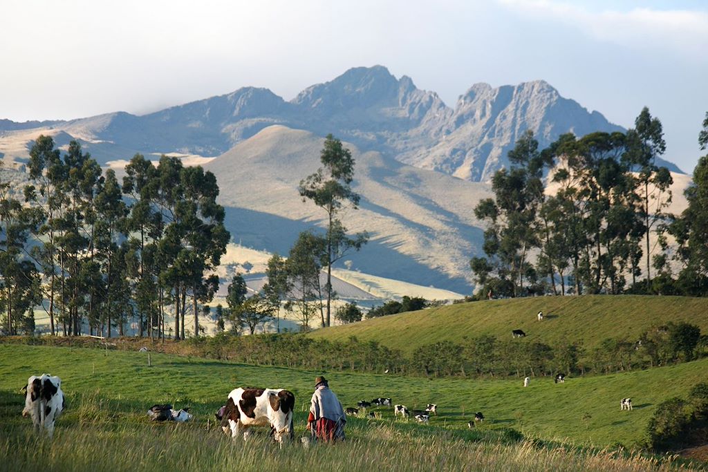 Image Lagune De Quilotoa - Canyon De Toachi - Marchés D'Otavalo