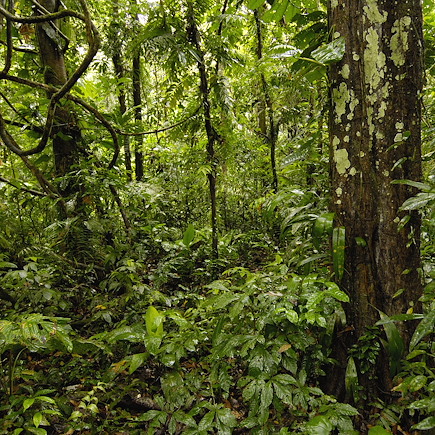 Randonnée Equateur