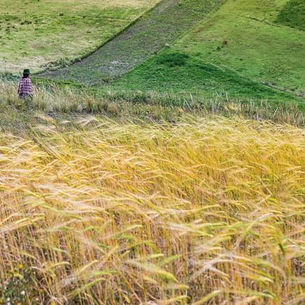 Randonnée Equateur