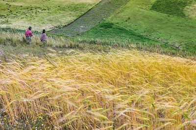 Deux paysannes dans un paysage andin - Zumbahua - Province de Cotopaxi - Equateur