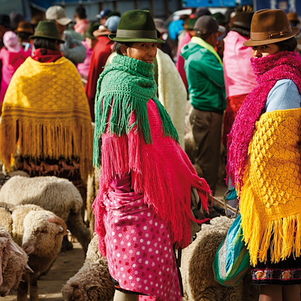 Découverte Equateur