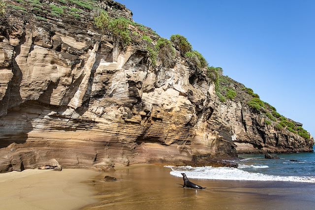 Voyage On a marché sur les Galápagos !