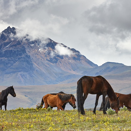 Randonnée Equateur