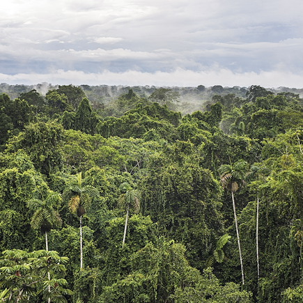 Randonnée Equateur
