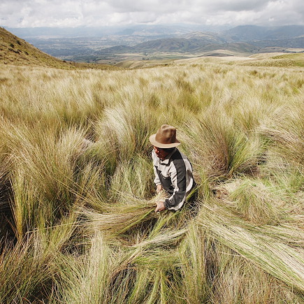 Randonnée Equateur
