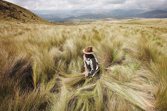 Voyage Jungle, volcans et archipel des Galápagos