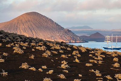 Archipel des Galapagos - Equateur
