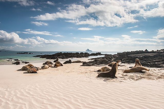 Voyage Au coeur des Galapagos