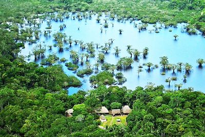Cuyabeno Lodge - Lago Agrio - Equateur