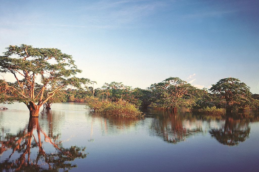 Image Equateur en famille - Mindo - canoe Cuyabeno