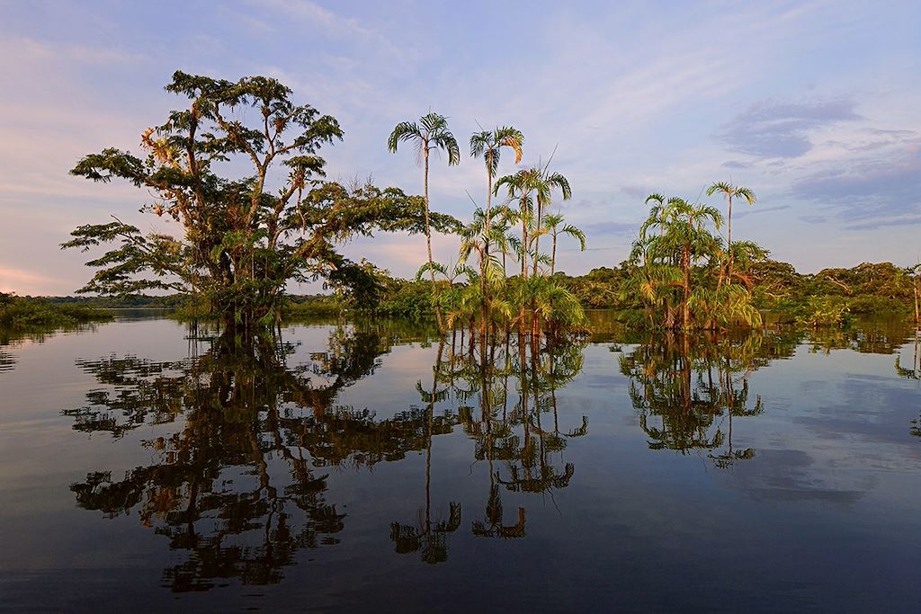 Image Equateur en famille - Mindo - canoe Cuyabeno