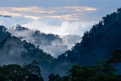 Andes - Mindo - Equateur