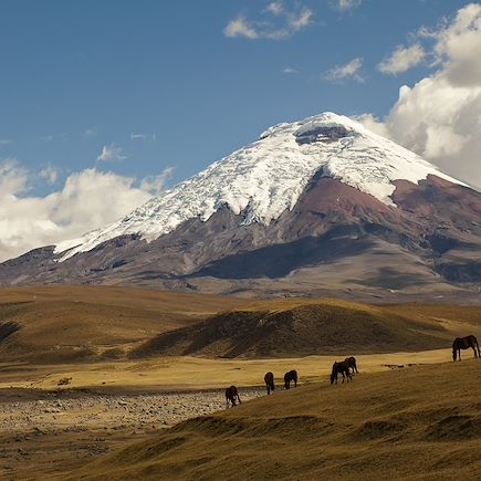 Alpinisme Equateur