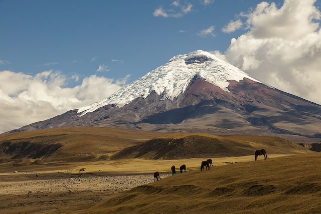 Alpinisme Equateur