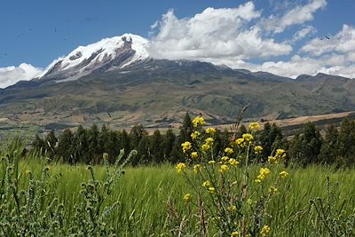 Volcan Cayambe