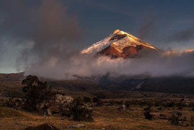 Volcan Cotopaxi - Equateur