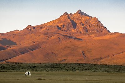 Cotopaxi Sanctuary Lodge - Parc National Cotopaxi - Equateur