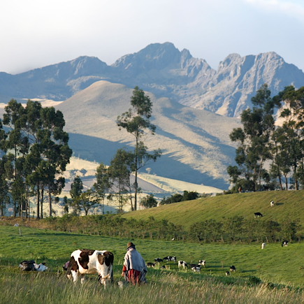 Trek Equateur