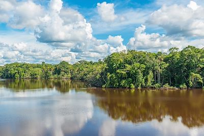 Forêt amazonienne - Equateur