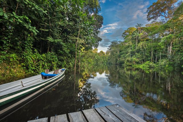 Rivière amazonienne de Cuyabeno - Equateur