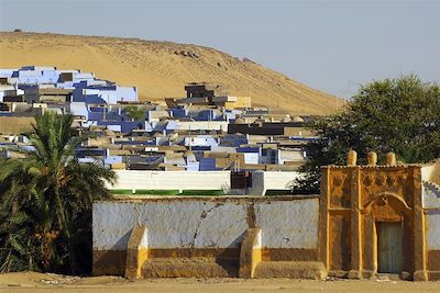 © Bertrand Rieger/hemis.fr/OT Egypte - Village nubien à Assouan - Vallée du Nil - Egypte Village nubien à Assouan - Vallée du Nil - Egypte