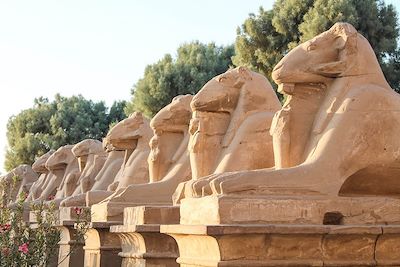 © Stéphanie Battet - Temple de Karnak à Louxor - Egypte Temple de Karnak à Louxor - Egypte