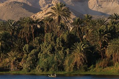 Rives du Nil - Egypte