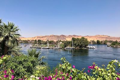 © Laurie Arnaud - Assouan - Egypte Assouan - Egypte