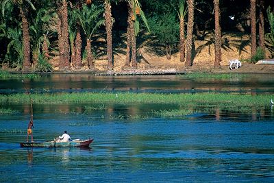 © Patrick Le Floc'h - Le Nil - Egypte Le Nil - Egypte