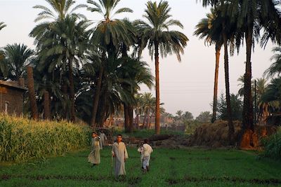 © Bertrand Rieger/hemis.fr/OT Egypte - Louxor - Vallée du Nil - Egypte Louxor - Vallée du Nil - Egypte