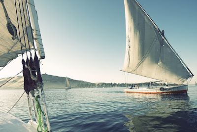 © Pesky Monkey/Istock - Felouque sur le nil - Egypte Felouque sur le nil - Egypte