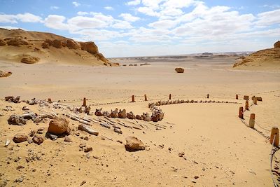 © Sui Xiankai/XINHUA / REA - Vallée des baleines - Wadi Al-Hitan - Egypte Vallée des baleines - Wadi Al-Hitan - Egypte
