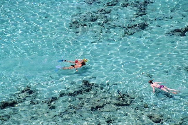 Voyage Snorkeling et dauphins de la mer Rouge