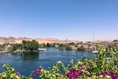 © Laurie Arnaud - Assouan - Egypte Assouan - Egypte