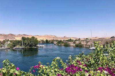 © Laurie Arnaud - Assouan - Egypte Assouan - Egypte