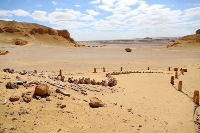 © Sui Xiankai/XINHUA / REA - Vallée des baleines - Wadi Al-Hitan - Egypte Vallée des baleines - Wadi Al-Hitan - Egypte