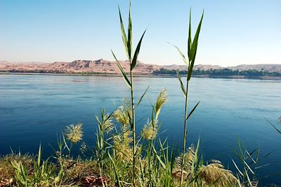 © Marion Rimbaud - Nil - Egypte Nil - Egypte