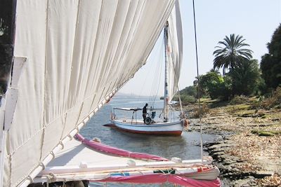 © Candice MANSE - Égypte Égypte