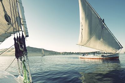 © Pesky Monkey/Istock - Felouque sur le nil - Egypte Felouque sur le nil - Egypte