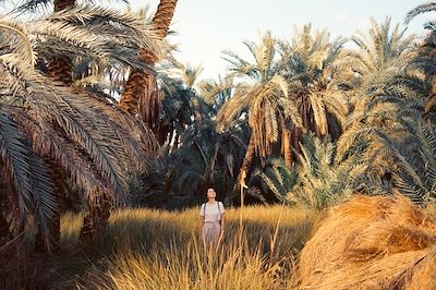 © Oleh_Slobodeniuk / Getty Images - Randonnée dans un oasis - Egypte Randonnée dans un oasis - Egypte