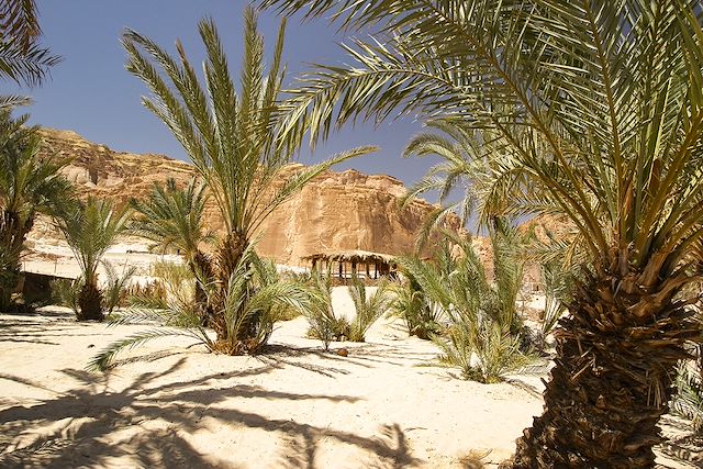 Voyage Désert Blanc et oasis du Sud