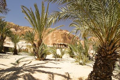 © Martin Bobrovsky, INSADCO GmbH / Alamy / Hemis - Oasis Ain Khudra - Egypte Oasis Ain Khudra - Egypte
