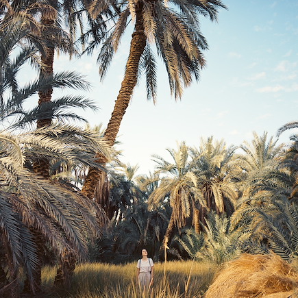 Découverte Egypte