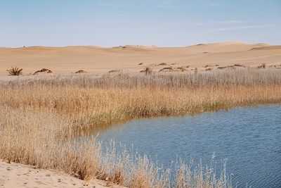 © Misha Martin / Getty Images - Oasis de Siwa - Egypte Oasis de Siwa - Egypte