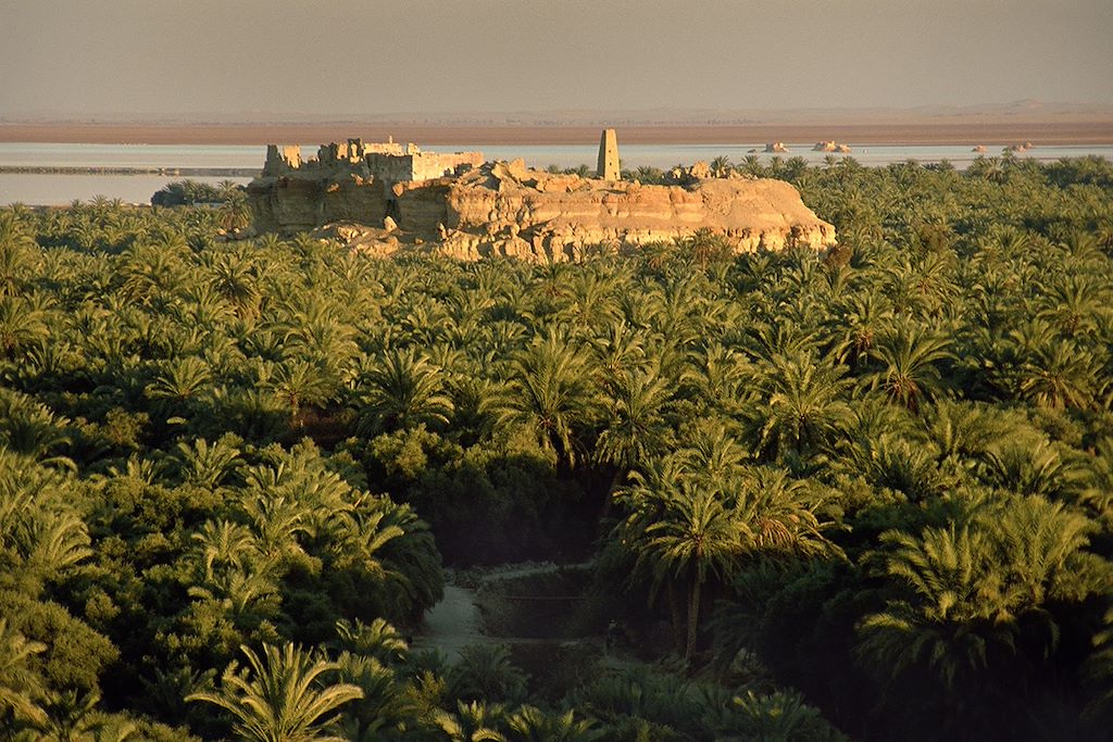 Image découverte Alexandrie - visite du Caire - citadelle antique de Shali - lac salé Egypte