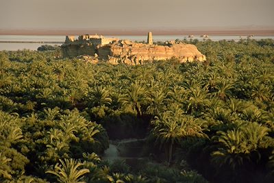 © Chris STOWERS/PANOS-REA - Oasis de Siwa - Egypte Oasis de Siwa - Egypte