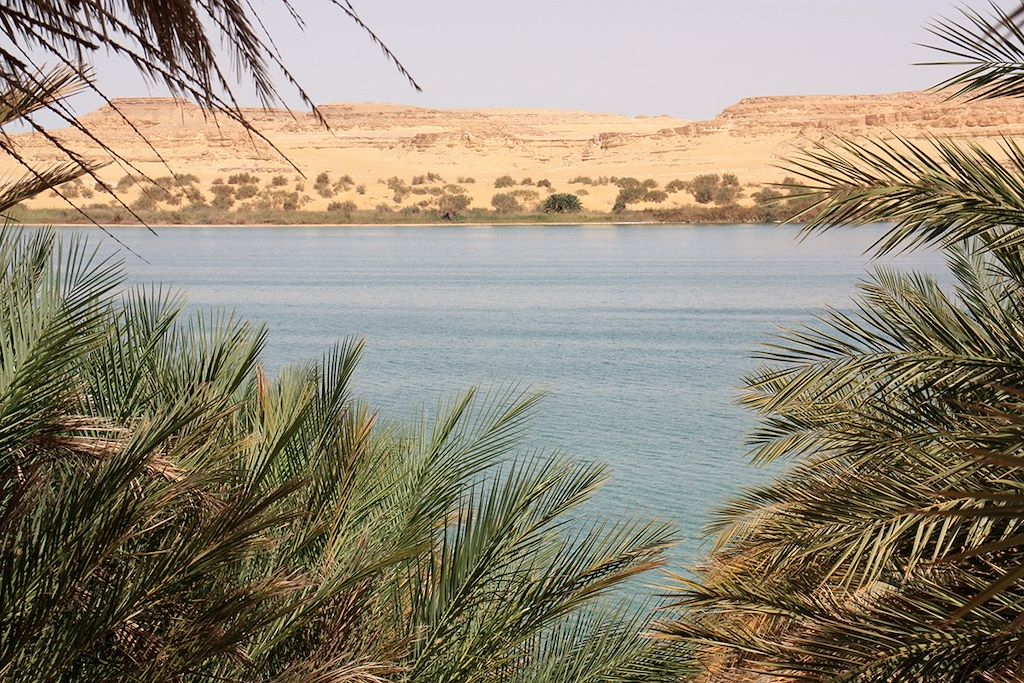 Image découverte Alexandrie - visite du Caire - citadelle antique de Shali - lac salé Egypte