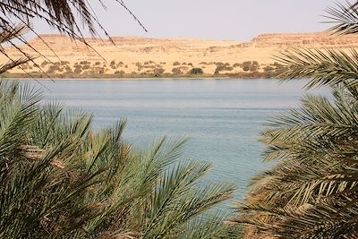 © schusterbauer.com / Adobe Stock - Oasis de Siwa - Egypte Oasis de Siwa - Egypte