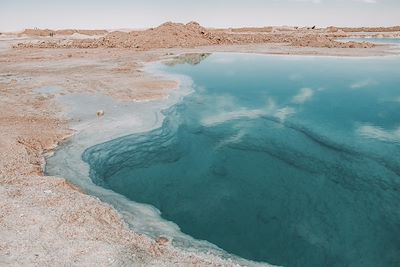 L'oasis secrète de Siwa 