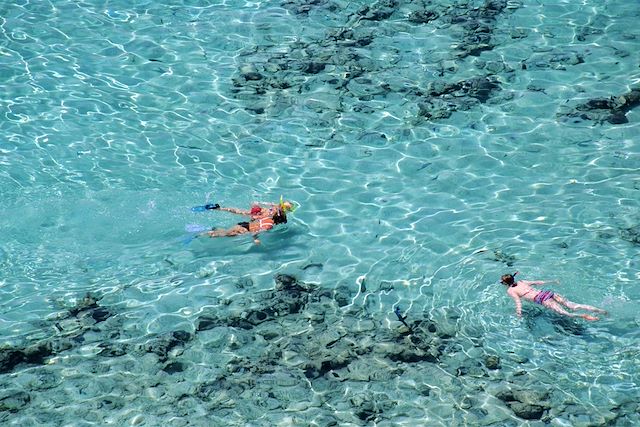 Voyage Mer Rouge, dauphins et récifs coralliens